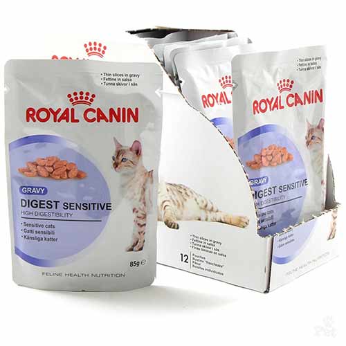 อาหารเปียกแมว-Royal-Canin