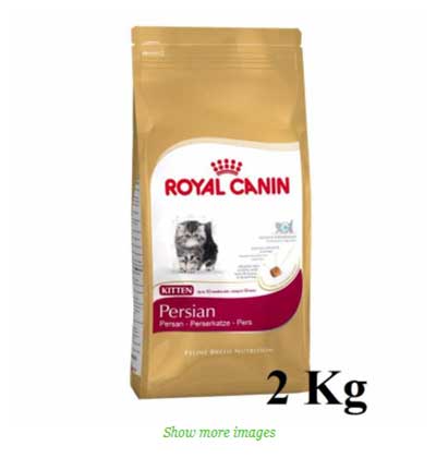 Royal Canin สำหรับลูกแมวเปอร์เซีย อายุ 4-12 เดือน