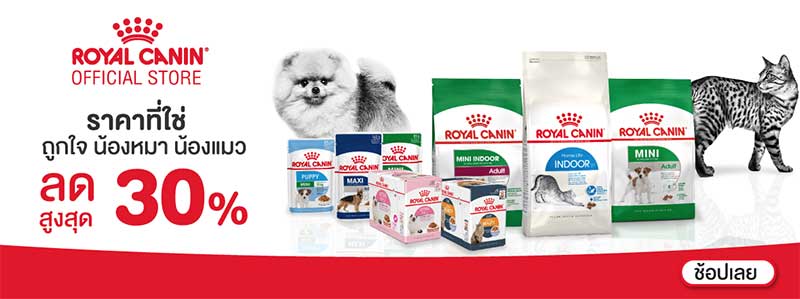royal-canin-อาหารแมวยี่ห้อไหนดี