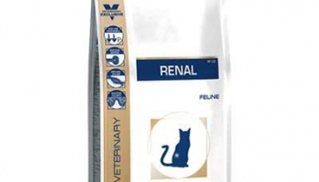 Royal Canin Renal Feline อาหารแมวป่วยโรคไต ราคาถูก